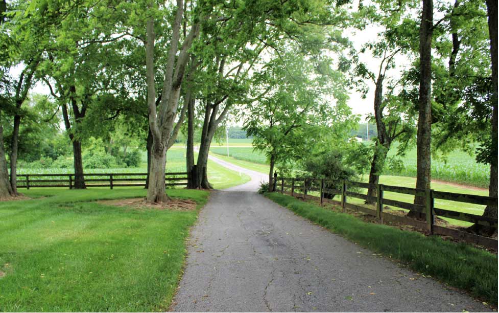 Harmony Hall features a landscaped lawn fenced by simple wooden posts and large, established trees set back from the main road. 